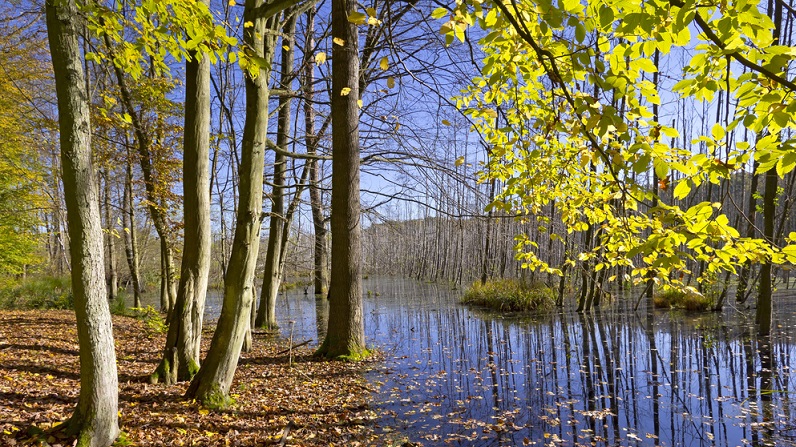 Schönste Orte Deutschlands sind insbesondere die Städte oder Regionen, die durch ihre Natürlichkeit und Historie die Besucher faszinieren. Sie zeigen uns, was im Laufe vieler Jahrtausende entstanden ist.