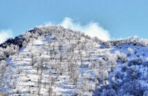 Brockenbahn im Harz: Fahrplan und Preise