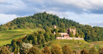 Weinberg, Hotel, leckeren Wein, da bleiben keine Wünsche offen