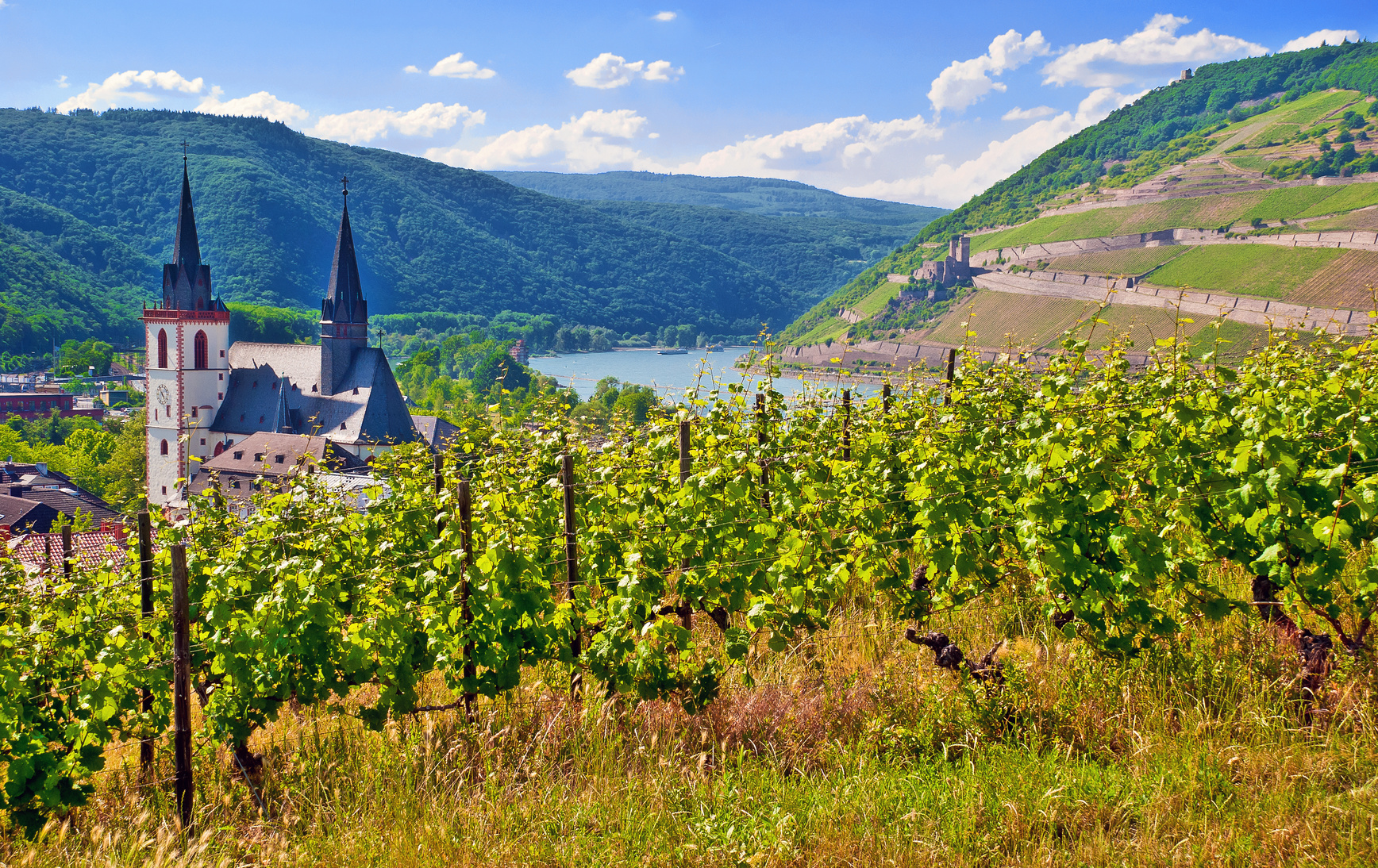 Die Pfalz-herrliche Gegend- leckerer Wein- Gemütlichkeit
