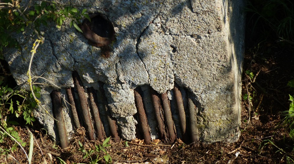 Kein Sachsenbunker steht in Mirow. Dafür aber eine Reihe von interessanten Bauwerken: die weißen Häuser. Das Bild zeigt Überreste eines Bunkers, genauer die Stahlbewehrung seiner Wand, der in der Nähe von Mirow in einem Waldgebiet liegt. (#1)