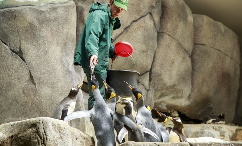 Eine über 100-jährige Tradition besitzt der Tierpark Hagenbeck und ist für Familien nach wie vor der Anziehungspunkt unter den Hamburger Sehenswürdigkeiten.  ( Foto: Shutterstock- Lucertolone)