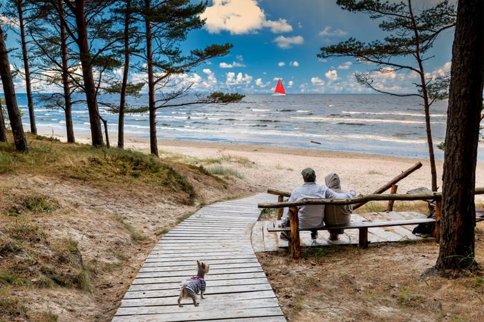 Am Strand der ostsee fühlt sich der Hund pudelwohl. (Foto: shutterstock - Sergei25)