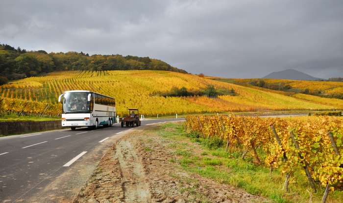Warum lieben viele Reisefreunde Busreisen? Liegt es daran, dass das Reisen mit dem Bus mittlerweile besonders günstig ist? ( Foto: Adobe Stock - VitalyTitov  )