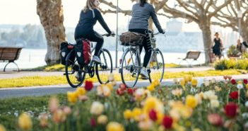 Wein und Blumen am Bodensee erkunden Blütenpracht am Bodensee: Dem Wein entlang (Foto: Leo Leister)