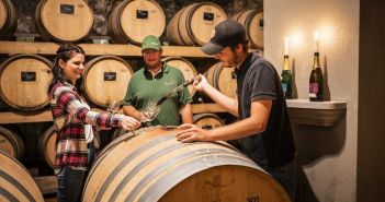 Weinsüden Winzer bieten spezielle Angebote für Gruppen an Neues Siegel würdigt herausragende Winzer im Weinsüden (Foto: Winzerverein HagnauFotograf:Dietmar Denger)