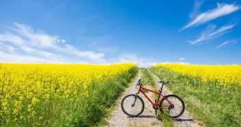 Reiseleitung bei der Landpartie: Teil eines engagierten und familiären Teams sein Vielfältige Vorbereitung für die Tätigkeit als Reiseleitung bei der (Foto: AdobeStock - David Dieschburg 224496729)