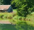 Renaturierung von Flüssen und Auen: Der beste Hochwasserschutz für (Foto: AdobeStock -  turtles2 523056310)