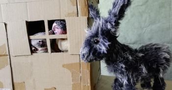 Puppenspielerin Warmuth zeigt "Armer Esel Alf" Sonntagmorgen im (Foto: Heidrun Warmuth)